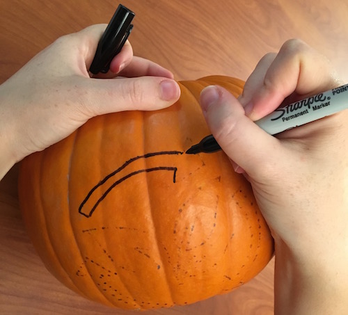 a photo of a pumpkin with a rough outline of a carbon cycle icon shape